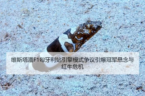 维斯塔潘F1匈牙利站引擎模式争议引爆冠军悬念与红牛危机