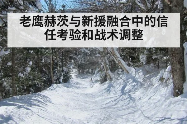 老鹰赫茨与新援融合中的信任考验和战术调整